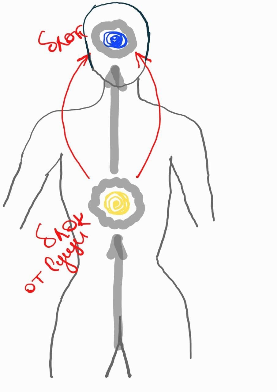 Центр Воли: «облако» сущности